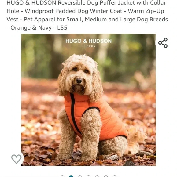 Orange Dog Vest - Picture 4 of 6